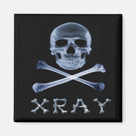 FUNOLOGIE-PIRATENFLAGGE des XRAY PIRATE-Flag Magnet (Vorne)