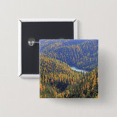 Fuorn Durchlauf 2 Button (Vorne & Hinten)