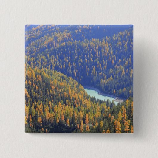 Fuorn Durchlauf Button (Vorderseite)