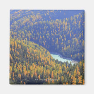 Fuorn Durchlauf Magnet