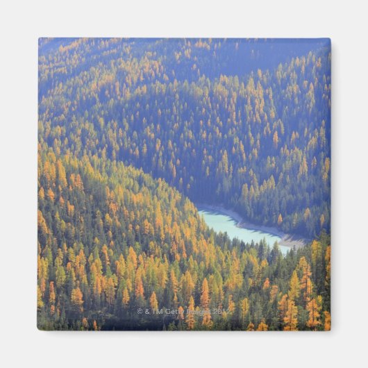 Fuornpass Magnet (Vorne)