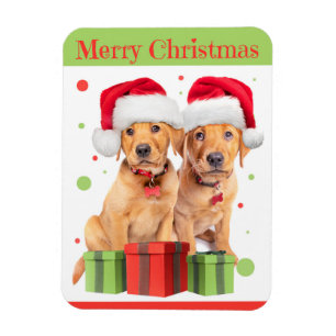 Für alle frohe Weihnachten zwei Labrador Welpen Magnet