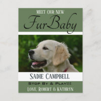 "Fur Baby" - Ankündigung des neuen Hundes