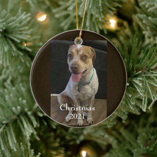 Fur Baby Christmas Ornament (Baum)
