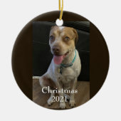 Fur Baby Christmas Ornament (Vorne)