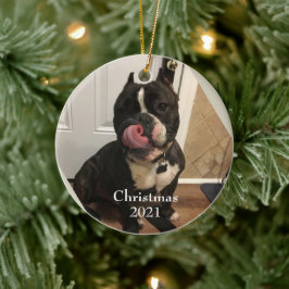 Fur Baby Christmas Ornament