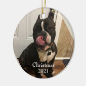 Fur Baby Christmas Ornament (Links)