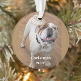 Fur Baby Christmas Ornament