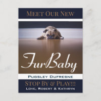 Fur Baby "New Pet" Ankündigung