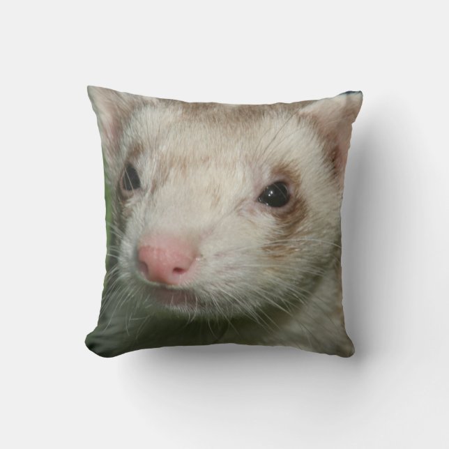 Fur Baby Niedlich Gesicht eines Ferret Kissen (Vorderseite)