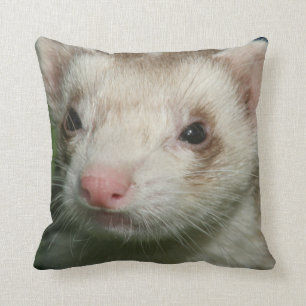 Fur Baby Niedlich Gesicht eines Ferret Kissen