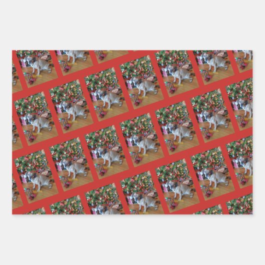 Fur Baby Wrapping Paper Flat Sheet Set 3 Geschenkpapier Set (Vorderseite 2)