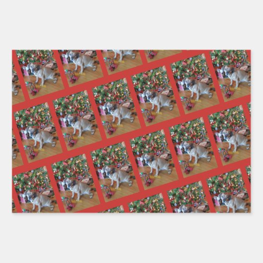 Fur Baby Wrapping Paper Flat Sheet Set 3 Geschenkpapier Set (Vorderseite)