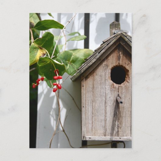 Für Bob Postkarte (Vorderseite)