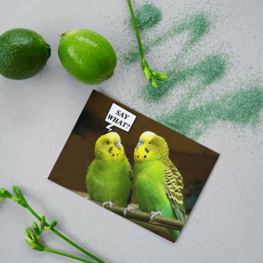 Für Brother Green Parakeets Foto Geburtstag Karte