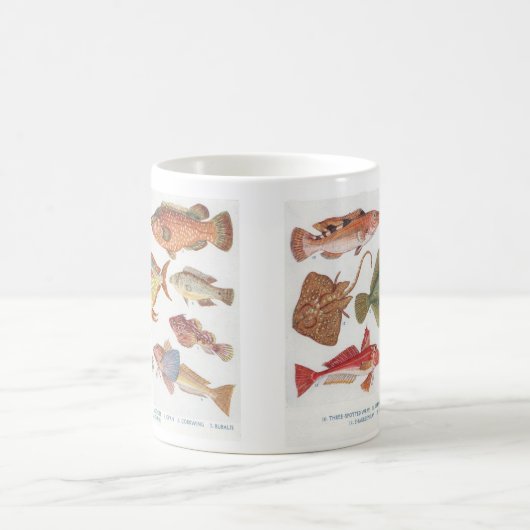 Für den Angler - Vintage Fischbilder Kaffeetasse (Mittel)