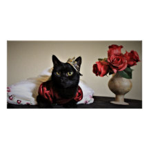 Für den Ball verkleidet