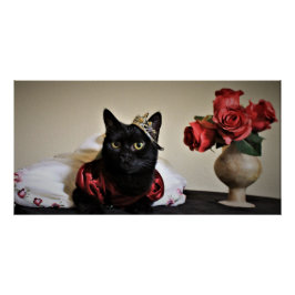 Für den Ball verkleidet Poster