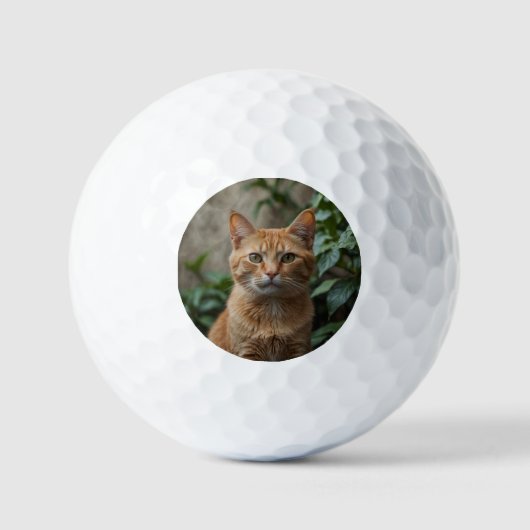 Für den besten Cat Vater je benutzerdefiniertes Fo Golfball (Vorderseite)