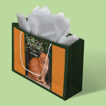 Für den besten Cat Vater je benutzerdefiniertes Fo