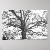 Für den Geist ist das immer noch. Poster (Vorne)