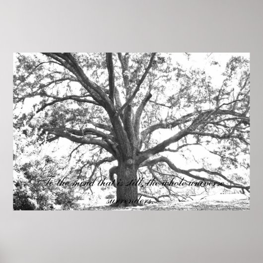 Für den Geist ist das immer noch. Poster (Vorne)