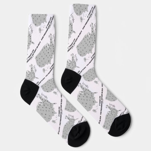 Für den Sieg des Präsidenten im Jahr 2024 sind 270 Socken (Rechts)