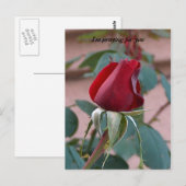 für dich beten postkarte (Vorne/Hinten)