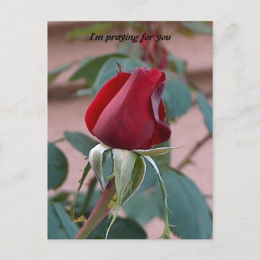 für dich beten postkarte (Vorderseite)