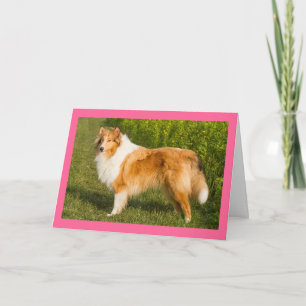 Für Dich Collie-Welpen-Hundekarte Karte