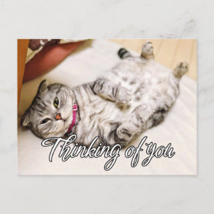 Für Dich Gedacht - Süße Kätzchen Katze Postkarte
