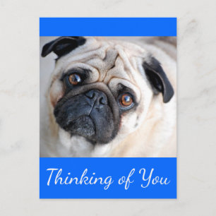Für Dich gedachte Postkarte mit Mops-Welpen-Hund