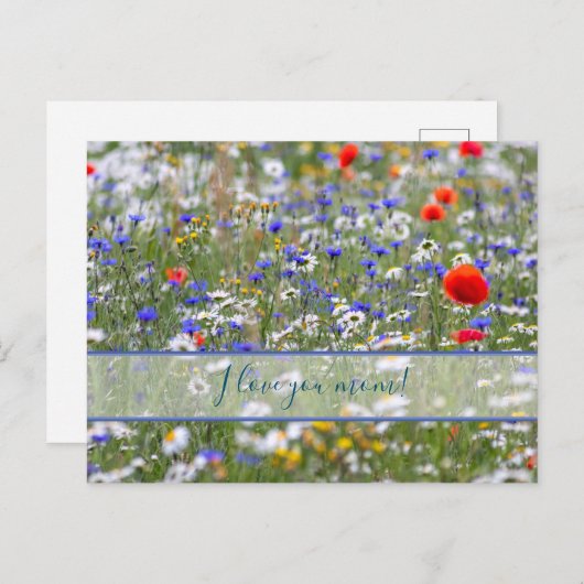 Für die beste Mami der Welt! Postkarte (Vorne/Hinten)