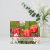 Für die beste Mami der Welt! Postkarte (Stehend Vorderseite)