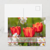 Für die beste Mami der Welt! Postkarte (Vorne/Hinten)