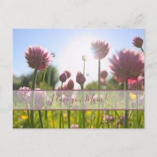 Für die beste Mami der Welt! Postkarte