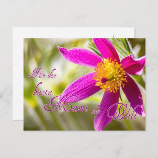 Für die beste Mami der Welt! Postkarte (Vorne/Hinten)