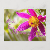 Für die beste Mami der Welt! Postkarte (Vorderseite)