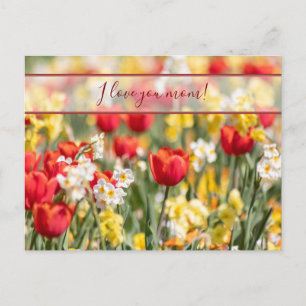 Für die beste Mami der Welt! Postkarte