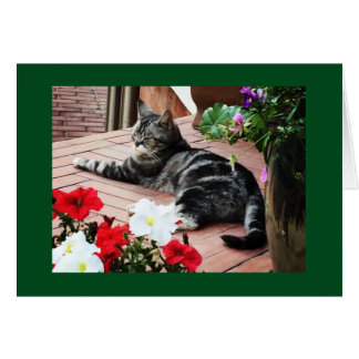 Für die Fans weltweit!