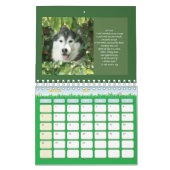 Für die Liebe der Hunde Kalender (Mär 2027)