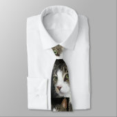 Für die Liebe der Krawatte von Katzen (Gebunden)