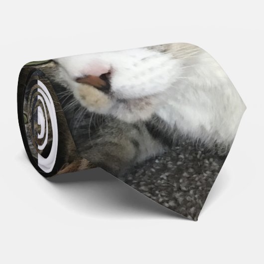 Für die Liebe der Krawatte von Katzen (Gerollt)