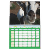 Für die Liebe des Kalender (Mär 2027)