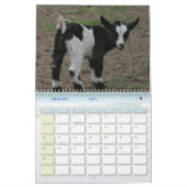 Für die Liebe des Kalender (Feb 2027)