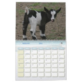 Für die Liebe des Kalender (Feb 2026)