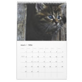 Für die Liebe des Katzen-Kalenders Kalender (Mär 2026)