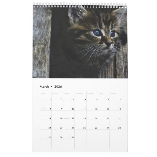 Für die Liebe des Katzen-Kalenders Kalender (Mär 2026)