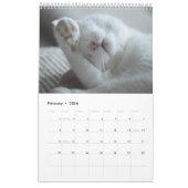 Für die Liebe des Katzen-Kalenders Kalender (Feb 2026)