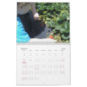 Für die Liebe des Nahrungsmittelkalenders Kalender (Mär 2026)